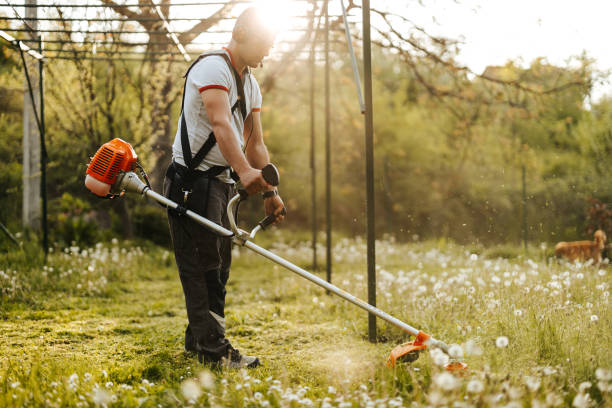 Multipurpose Garden Tool